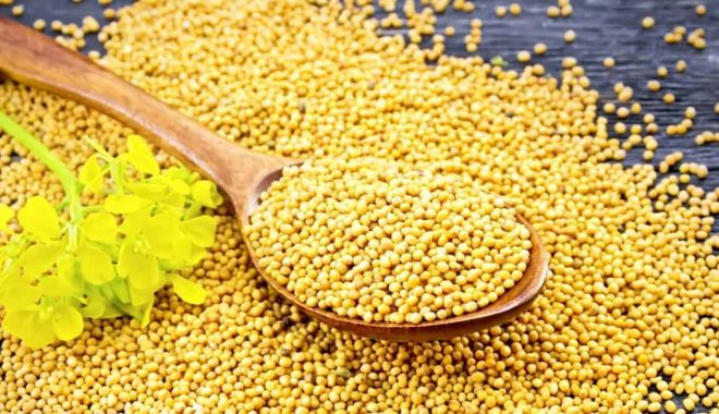Cura cu boabe de muştar, indicată pentru stimularea metabolismului - cura-1690805405.jpg