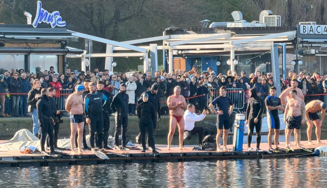 Curajoșii se pregătesc să sară în apă, în Portul Turistic Tomis din Constanța