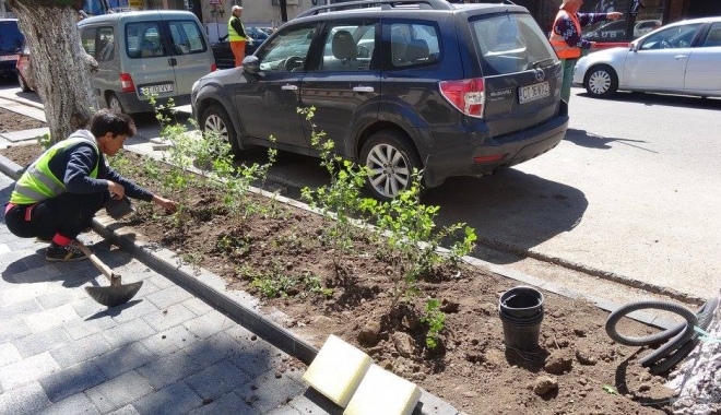 Primăria Constanța continuă campania 