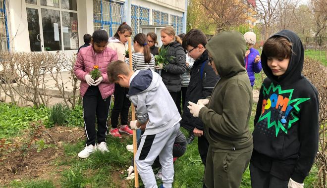 Elevii constănțeni se implică în campania 