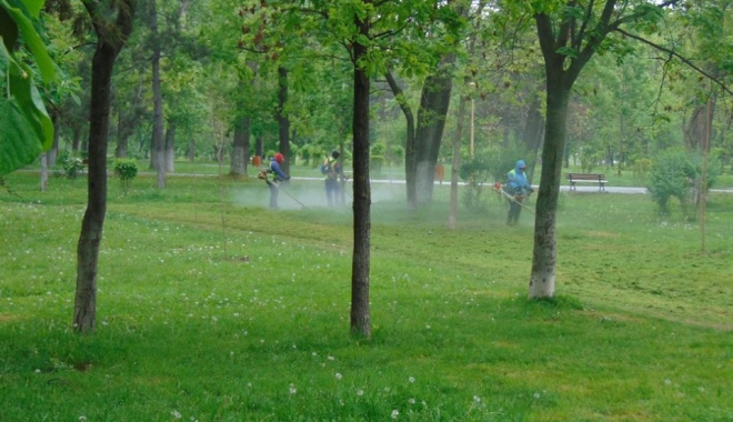 Se lucrează la foc continuu în parcurile și cartierele din Constanța - curatamconstanta12-1461759220.jpg