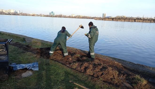 Parcul Tăbăcărie este igienizat - curatenie3-1641410306.jpg