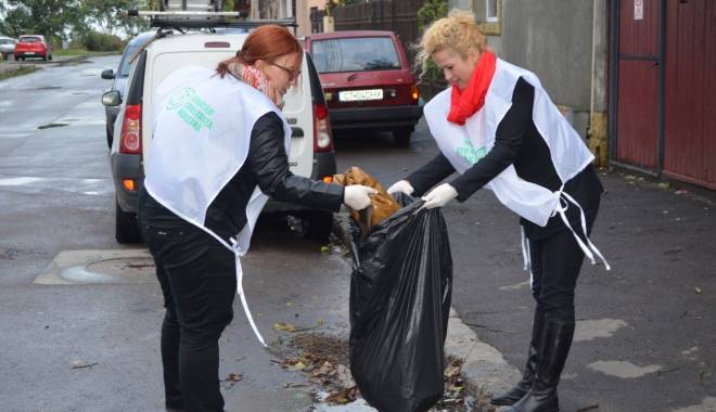 Grupul Local Dobrogea Nord a făcut curățenie în cartierul Faleză Nord și în Parcul Tăbăcărie - curateniecartierfalezanord-1444922995.jpg