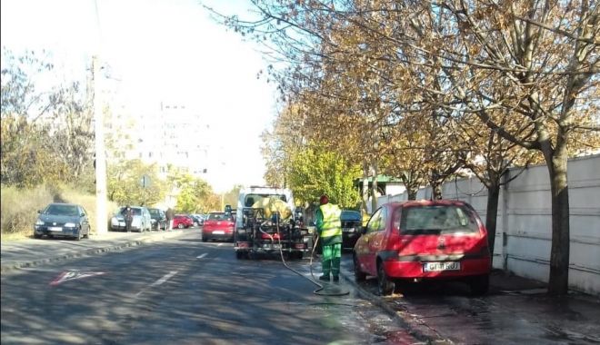 Curăţenie generală, la Constanţa. Ce cartiere sunt vizate, săptămâna aceasta - curateniegenerala-1606221396.jpg