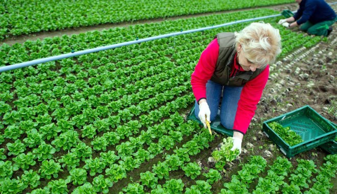 Curs de agricultură ecologică,  organizat de CCINA la Constanța - cursagriculturaecologica-1408969270.jpg