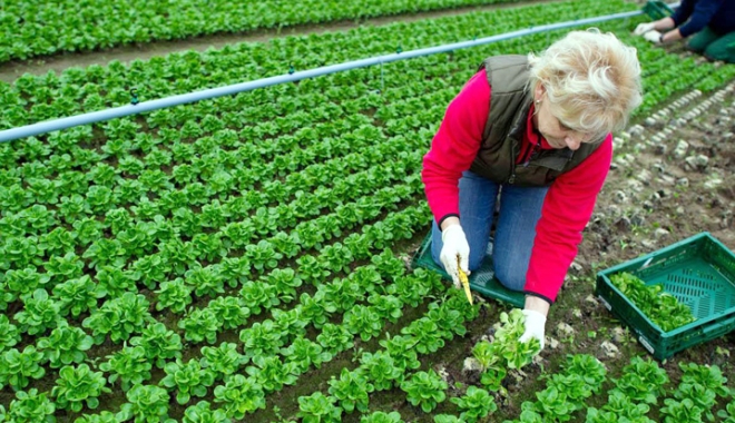 Curs de agricultură ecologică, la Constanța - cursuriagriculturaecologica-1472128191.jpg