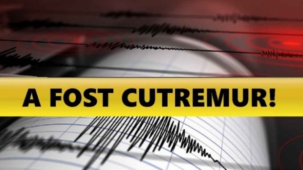 CUTREMUR mare în SUA de ziua națională, urmat de patru replici - cutremur1024x5638444670055257800-1562264703.jpg