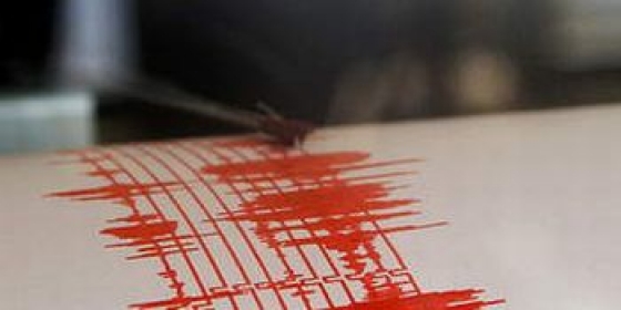 CUTREMUR de 3,9 grade pe scara Richter, în zona Vrancea - cutremurvrancea-1348766872.jpg