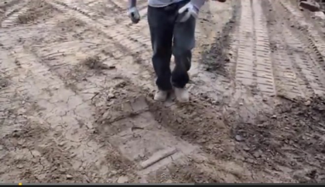 VIDEO / PĂMÂNTUL CA O GELATINĂ. Efectul ȘOCANT al unui CUTREMUR DEVASTATOR - cutremuuurrr69606700-1391854483.jpg