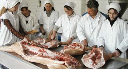 Guvernul ne scoate din criză cu ucenicii - d1418a126c7ad067dda69e8072c4e6fc.jpg