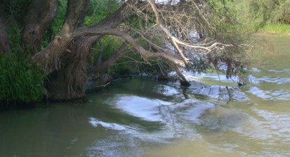 Delta Dunării a primit trofeul 