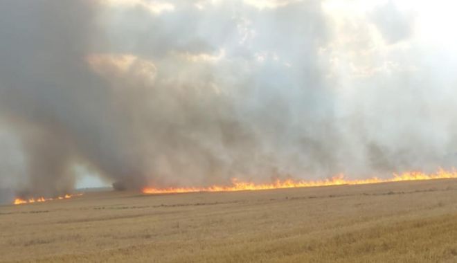 Cultură de 40 de hectare de grâu, cuprinsă de incendiu; mai multe autospeciale intervin - damabobitaincendiu2f4297399ef-1691155414.jpg