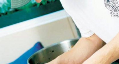 Sfaturi de vară pentru bucătărie - dcdbc9373d411cfe5d54c5f93cdbbc03.jpg