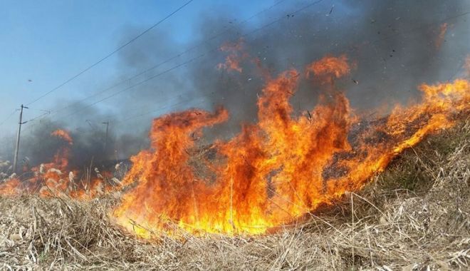 Peste 600 de hectare de vegetație uscată au ars în 5 incendii - dd-1586342383.jpg