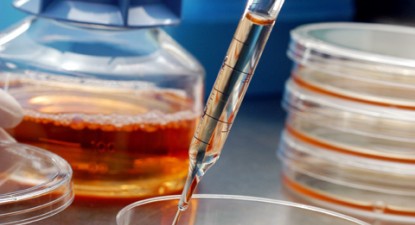 Celulele stem ar putea înlocui medicamentele pentru tratarea afecțiunilor cronice - dd0afe089f0a20d05c577f5c2df86b16.jpg