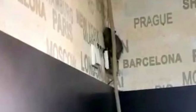 Alo, Protecția Consumatorului? Ce mai găsim în cofetării… - ddd-1578819905.jpg