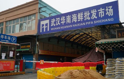 Virusul care înspăimântă China provine dintr-o piață de fructe de mare - ddd-1579766338.jpg