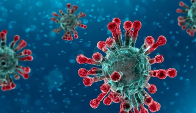 Alerte de infecție cu noul coronavirus, infirmate! INCLUSIV LA CONSTANȚA! - ddd-1580059195.jpg