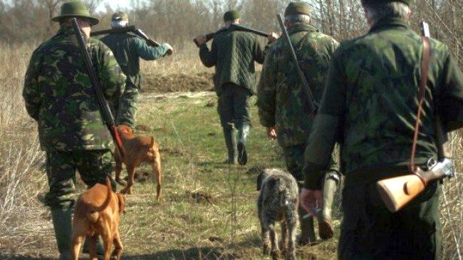 Cum se atrag animalele sălbatice pe terenul de vânătoare. Autoritățile reacționează! - ddd-1580292219.jpg