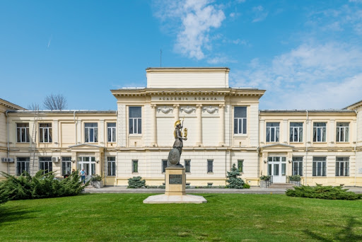 Protest oficial: Academia Română vs. 
