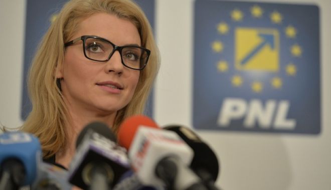 Propunere liberală: trei zile pentru alegerile parlamentare, în diaspora - ddd-1580462562.jpg