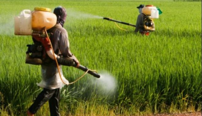 Comisia Europeană avertizează România: INTERZIS la autorizații pentru pesticide! - ddd-1580736049.jpg