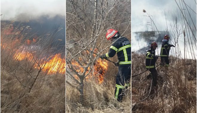 INCENDIU DEVASTATOR. ARD ZECI DE HECTARE DE PĂDURE, LA VADU OII! - dddd-1582546064.jpg
