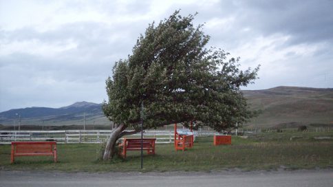 Cod galben de viscol și vânt! Dobrogea nu este afectată - dddd-1582709653.jpg