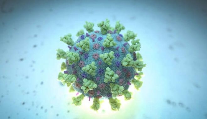 Două tipuri de coronavirus care pot genera infecții, descoperite de cercetători - dddd-1583319361.jpg