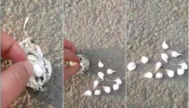 VIDEO / PERCHEZIȚII în Constanța. O femeie și un bărbat, prinși când vindeau COCAINĂ! - dddd-1583325505.jpg