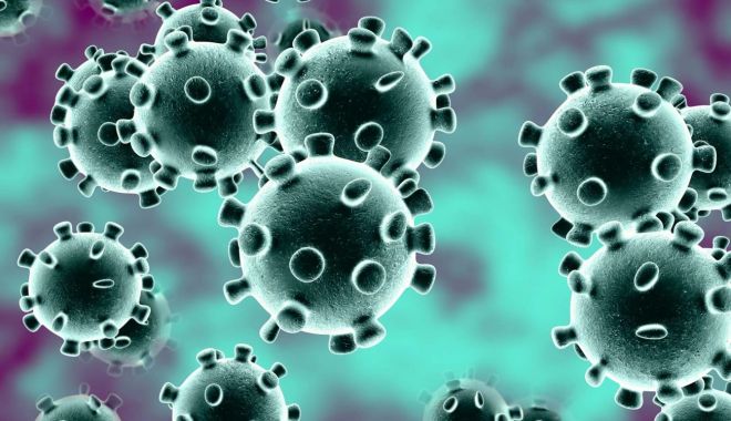 Economia, afectată de coronavirus! Investitorii din România nu au un plan de risc - dddd-1583759065.jpg