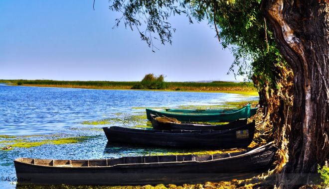 Turismul în Delta Dunării, afectat drastic de coronavirus - dddd-1583933778.jpg