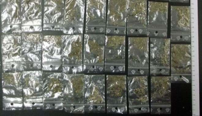 Dealer de etnobotanice, prins de polițiști - dealeretnobotanice-1413136237.jpg