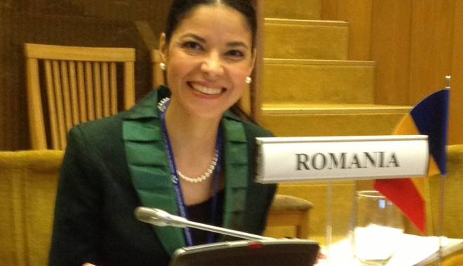 De ce a cerut Ana Birchall convocarea Comisiei de buget - deceacerut-1421582062.jpg