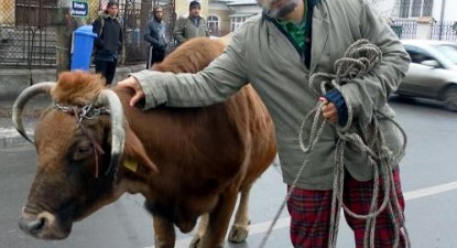 Măruță cu văcuță! - decf8e5b85343b10434665e90c6f36db.jpg