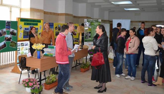 Decide-ți viitorul la Târgul Educațional Maritimo - decidetiviitorul-1426791448.jpg