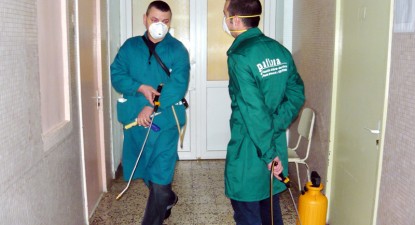 Gândacii fac legea în Spitalul Județean - deec27f49db390097ee4c0485102ece0.jpg
