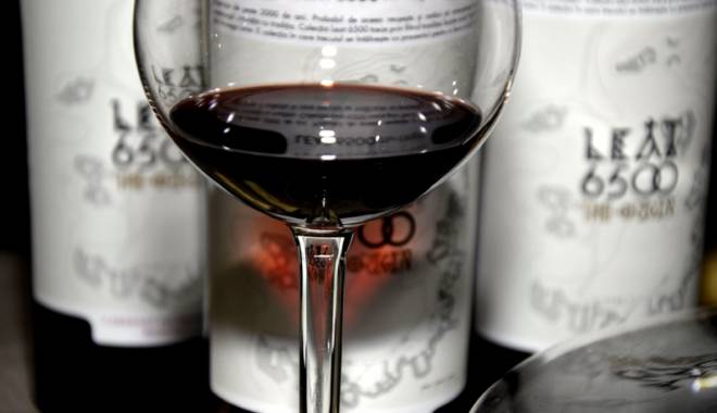Degustare de vinuri fine, la Bottega D’Italy - degustaredevinuri4-1446746147.jpg