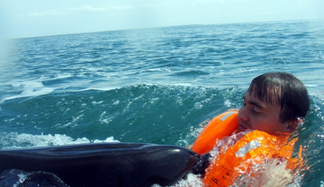 Statul nu alocă niciun leu pentru protecția și salvarea delfinilor din Marea Neagră - delfin-1340641457.jpg