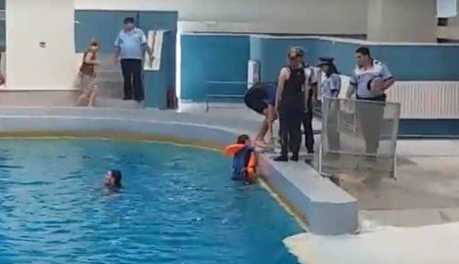 VIDEO / SCANDAL LA DELFINARIUL CONSTANȚA! Trei persoane s-au aruncat în bazinul delfinilor - delfin-1503762812.jpg
