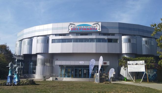 Supărat pentru situația de la Delfinariu, Mihai Lupu a anunțat scoaterea la concurs a postului de director - delfinariu-1675173919.jpg