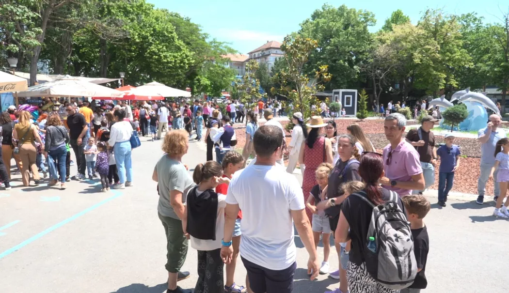 Foto - Ploaia a umplut Delfinariul din Constanța. Programul a fost suplimentat după epuizarea biletelor
