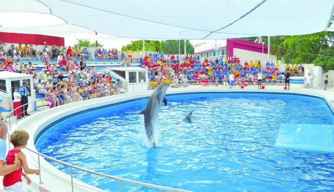 În vizită la Delfinariu și Planetariu - delfinariu15-1377865519.jpg