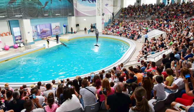 Program de vară la Complexul Muzeal de Științe ale Naturii - delfinariu18-1524586562.jpg
