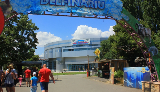 Delfinii  se acomodează  cu noul bazin, în prezența publicului - delfinariu3-1469457564.jpg