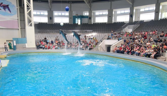 Acces gratuit la Delfinariu, pentru copii, pe 1 Iunie - delfinariu55-1590926980.jpg