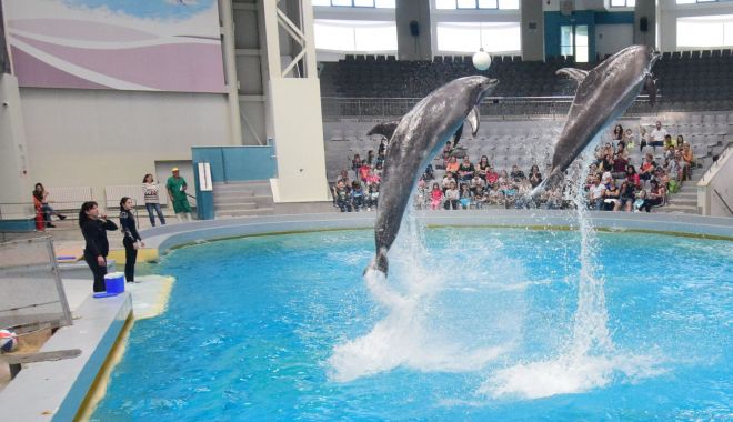 Astăzi, acces gratuit la Delfinariu! - delfinariu58-1590938164.jpg