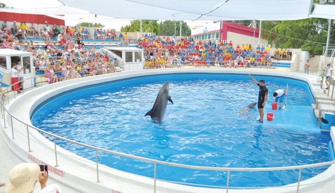 Se redeschide Delfinariul. Când sunt aşteptaţi vizitatorii - delfinariu8-1620202979.jpg