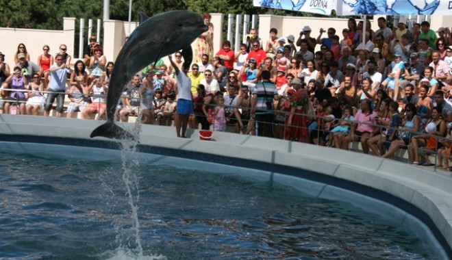Delfinariul din Constanța va fi extins - delfinariuconstanta2-1311599445.jpg