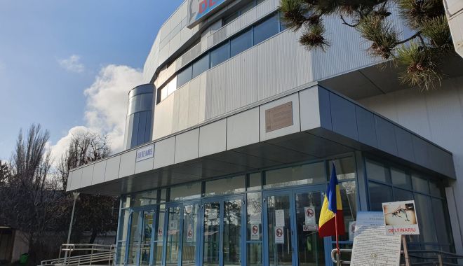 Iată tarifele la Delfinariu, Microrezervație, Acvariu, Planetariu și Echitație până în luna aprilie 2023 - delfinariuconstanta3-1676969084.jpg
